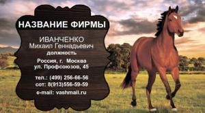 Шаблон №22523, Визитка двусторонняя, Отдых
