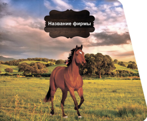 Шаблон №22536, Открытка 86, Отдых