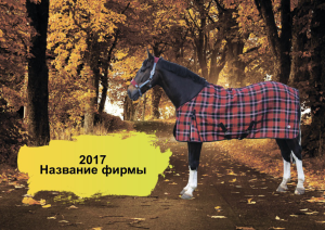 Шаблон №22595, Квартальник Эконом, Отдых
