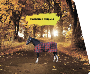 Шаблон №22596, Открытка 86, Отдых