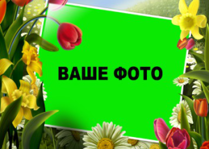 Шаблон №16816, Магнит А8, Цветы