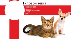 Шаблон №12320, Визитка двусторонняя, Животные