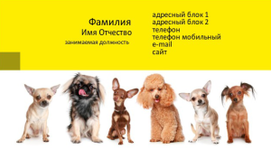 Шаблон №12651, Визитка двусторонняя, Животные