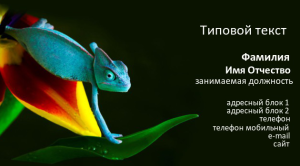 Шаблон №12858, Визитка двусторонняя, Животные