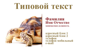 Шаблон №6018, Визитка двусторонняя, Животные