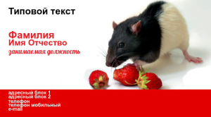 Шаблон №7331, Визитка двусторонняя, Животные