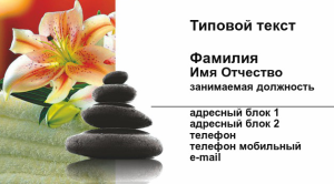 Шаблон №9079, Визитка двусторонняя, Индустрия красоты