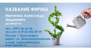 Шаблон №5959, Визитка двусторонняя, Бизнес