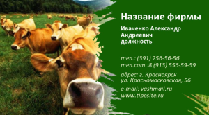 Шаблон №5963, Визитка двусторонняя, Питание, Общие, Животные