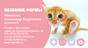 Шаблон №5975, Визитка двусторонняя, Животные, Медицина