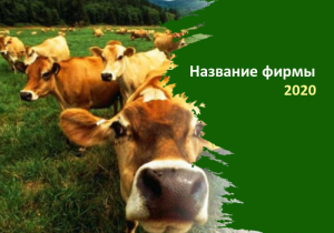 Шаблон №6112, Календарь карманный, Питание, Животные
