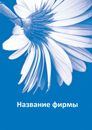 Шаблон №7000, Блокнот А5, Индустрия красоты, События (тамада, ведущие)