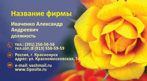 Шаблон №7033, Визитка двусторонняя, Индустрия красоты, События (тамада, ведущие)