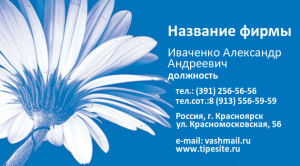 Шаблон №7034, Визитка двусторонняя, Индустрия красоты, События (тамада, ведущие)