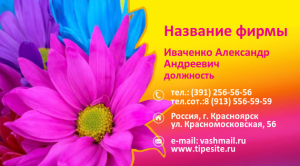 Шаблон №7035, Визитка двусторонняя, Индустрия красоты, События (тамада, ведущие)