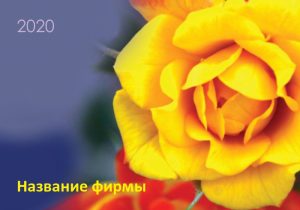 Шаблон №7041, Календарь карманный, Индустрия красоты, События (тамада, ведущие)
