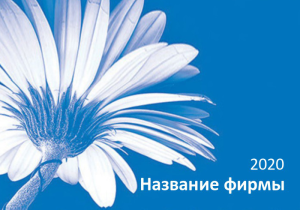 Шаблон №7042, Календарь карманный, Индустрия красоты, События (тамада, ведущие)