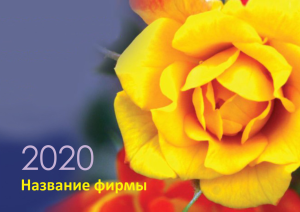 Шаблон №7058, Квартальник Стандарт, Индустрия красоты, События (тамада, ведущие)