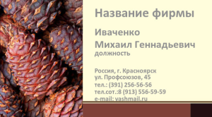 Шаблон №7091, Визитка двусторонняя, Природа, Питание