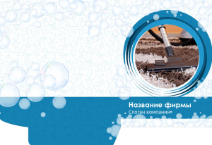 Шаблон №10277, Папка №20 Односторонняя, Клининговые услуги