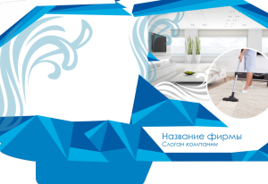 Шаблон №11364, Папка №20 Односторонняя, Клининговые услуги