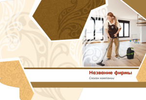 Шаблон №12258, Папка №20 Односторонняя, Клининговые услуги