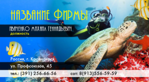 Шаблон №1533, Визитка двусторонняя, Спорт, Турфирмы, отдых