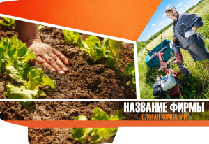 Шаблон №3110, Папка №20 Односторонняя, Дача
