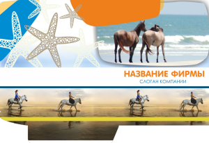 Шаблон №4227, Папка №20 Односторонняя, Турфирмы, отдых