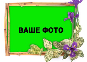 Шаблон №16852, Магнит А8, Цветы